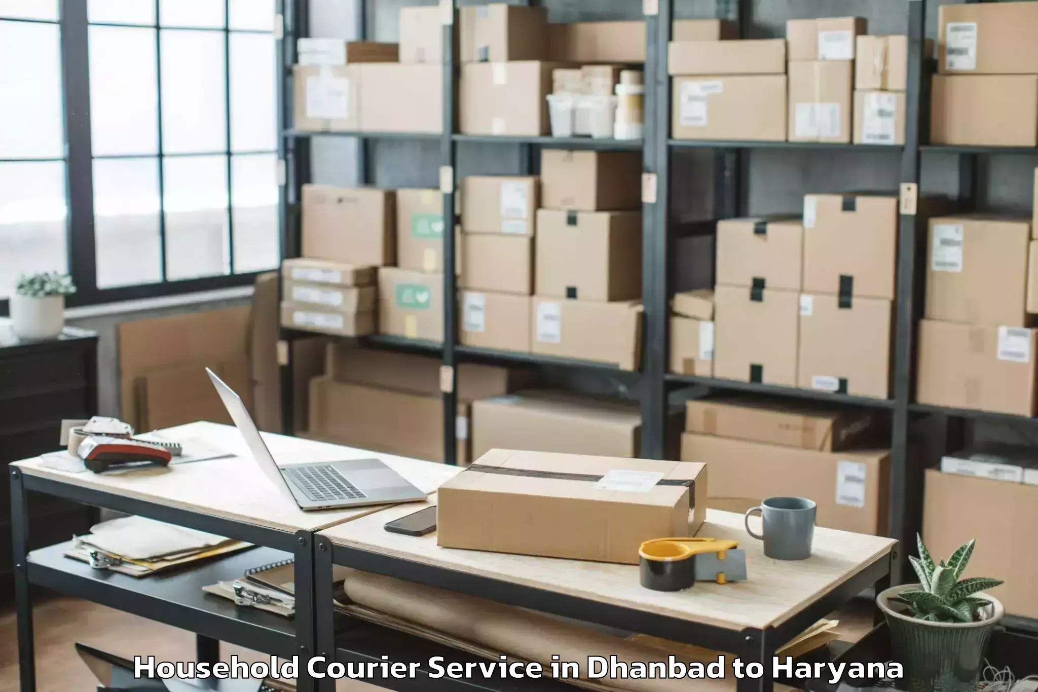 Reliable Dhanbad to Ambala Household Courier